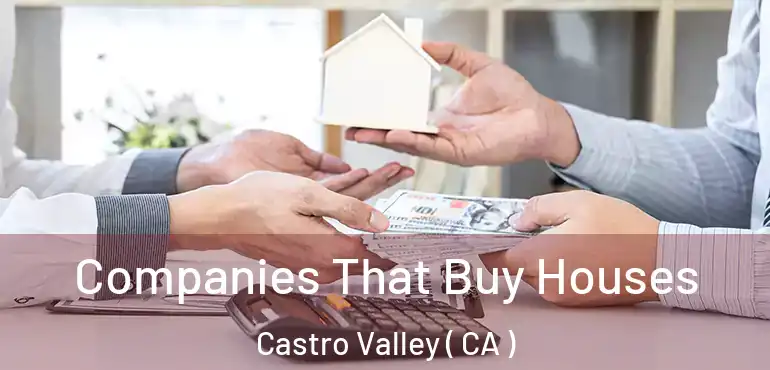 Companies That Buy Houses Castro Valley ( CA )