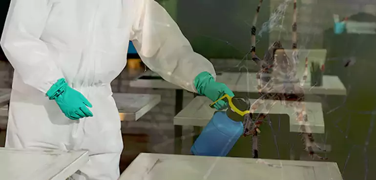 Why Buyers Still Want Homes With Pest Infestations in California, CA?