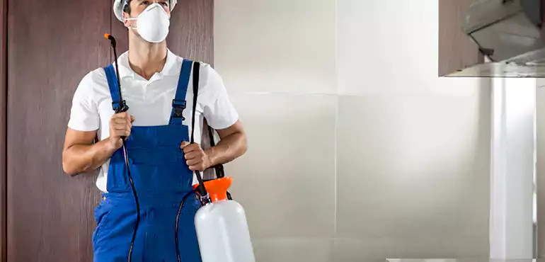 Why California Homeowners Choose Us When Pests Make Selling Difficult