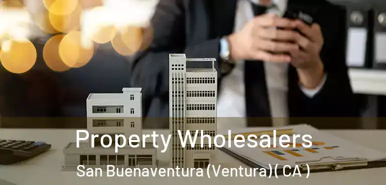  Property Wholesalers San Buenaventura (Ventura) ( CA )