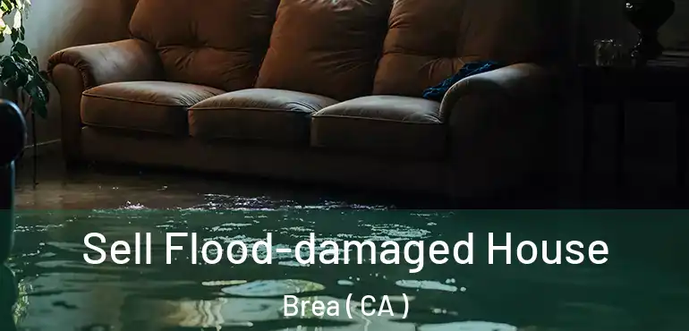 Sell Flood-damaged House Brea ( CA )