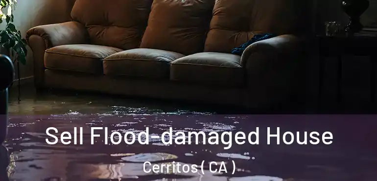  Sell Flood-damaged House Cerritos ( CA )
