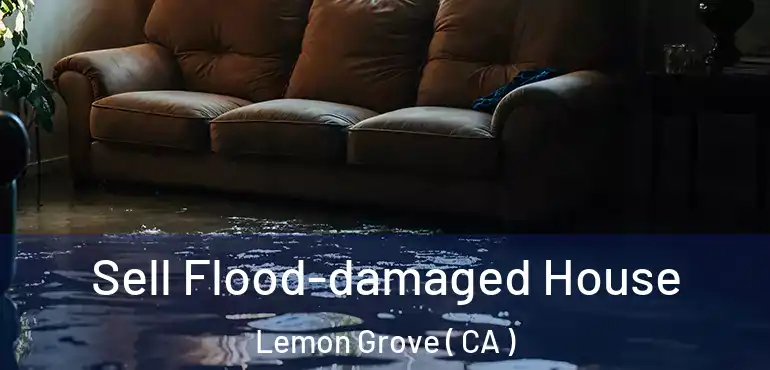  Sell Flood-damaged House Lemon Grove ( CA )
