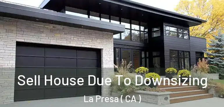 Sell House Due To Downsizing La Presa ( CA )