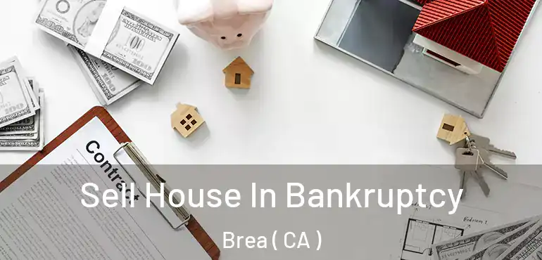  Sell House In Bankruptcy Brea ( CA )