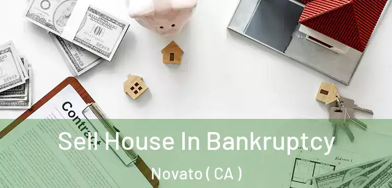  Sell House In Bankruptcy Novato ( CA )