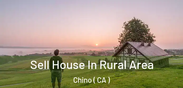  Sell House In Rural Area Chino ( CA )