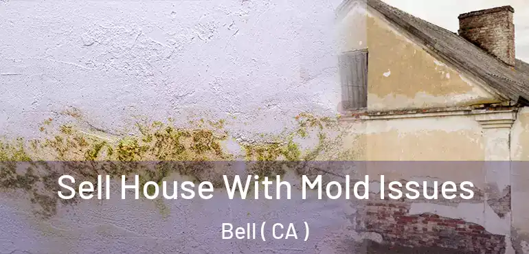  Sell House With Mold Issues Bell ( CA )