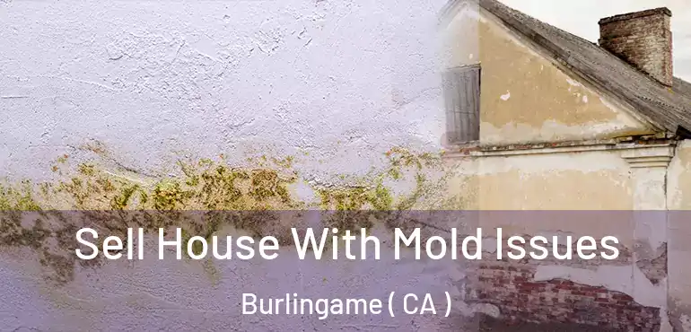  Sell House With Mold Issues Burlingame ( CA )