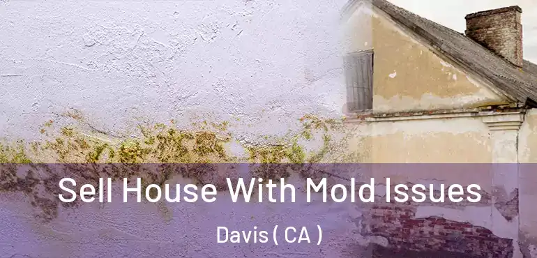  Sell House With Mold Issues Davis ( CA )