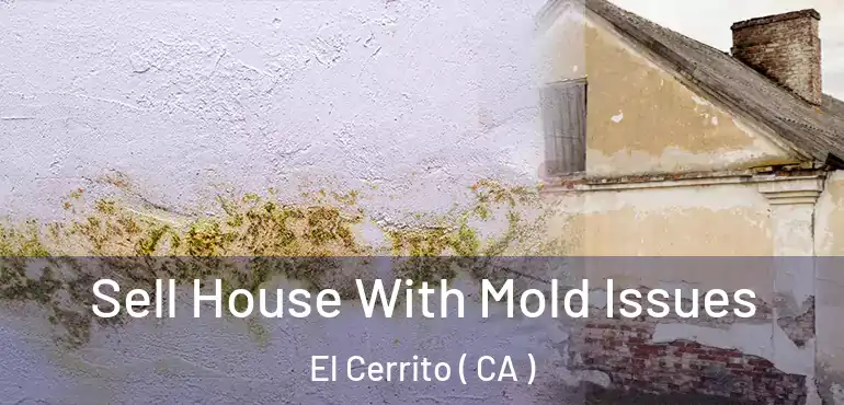 Sell House With Mold Issues El Cerrito ( CA )