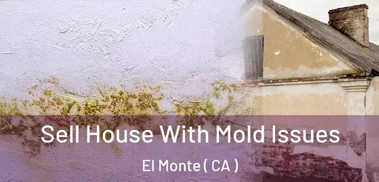  Sell House With Mold Issues El Monte ( CA )