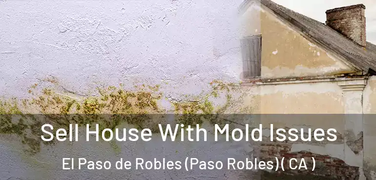 Sell House With Mold Issues El Paso de Robles (Paso Robles) ( CA )