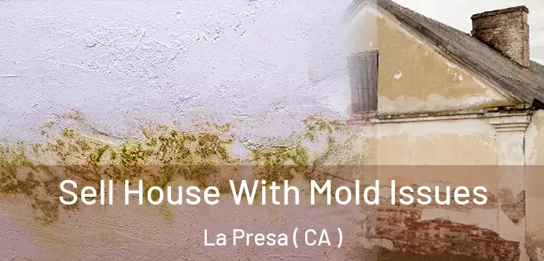 Sell House With Mold Issues La Presa ( CA )