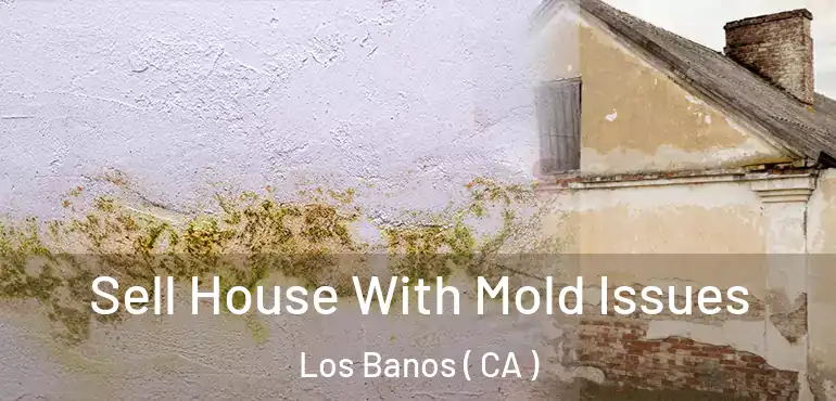 Sell House With Mold Issues Los Banos ( CA )