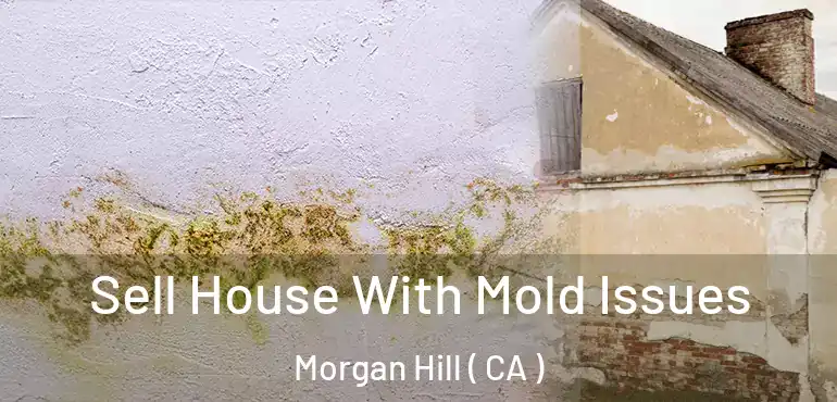Sell House With Mold Issues Morgan Hill ( CA )