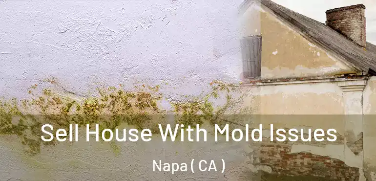  Sell House With Mold Issues Napa ( CA )