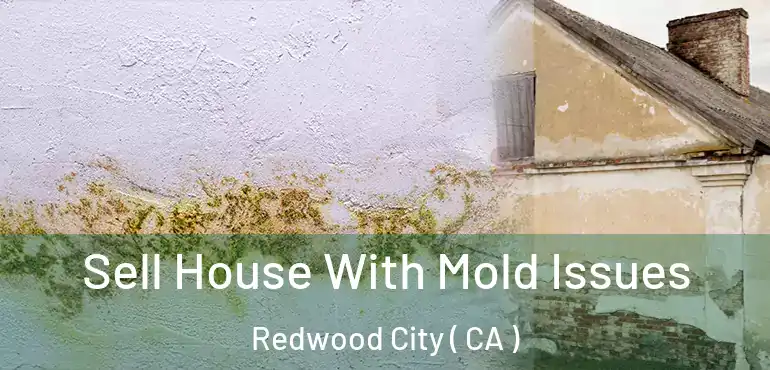  Sell House With Mold Issues Redwood City ( CA )