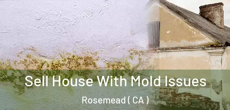 Sell House With Mold Issues Rosemead ( CA )