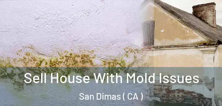 Sell House With Mold Issues San Dimas ( CA )