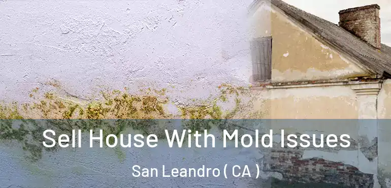  Sell House With Mold Issues San Leandro ( CA )