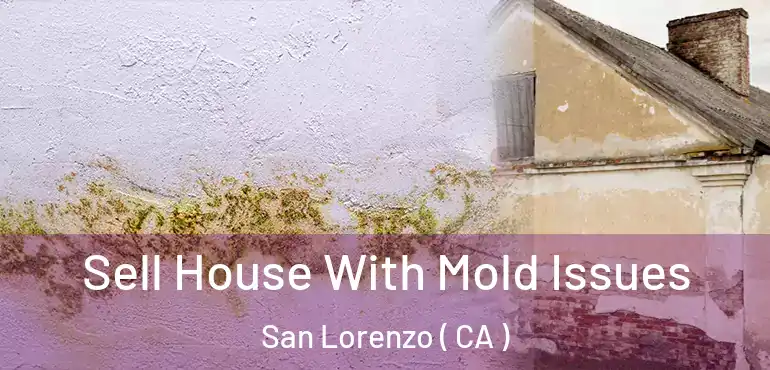 Sell House With Mold Issues San Lorenzo ( CA )
