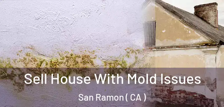 Sell House With Mold Issues San Ramon ( CA )