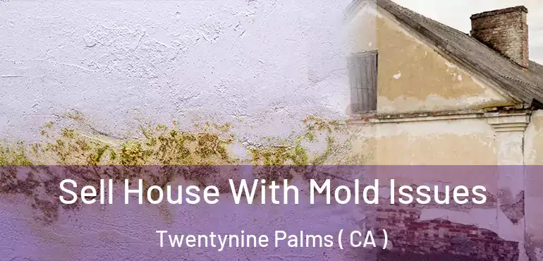 Sell House With Mold Issues Twentynine Palms ( CA )