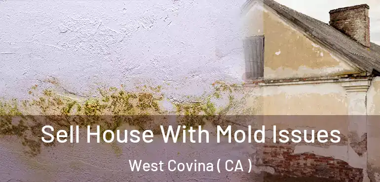 Sell House With Mold Issues West Covina ( CA )