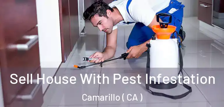 Sell House With Pest Infestation Camarillo ( CA )