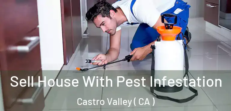Sell House With Pest Infestation Castro Valley ( CA )