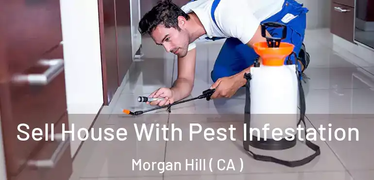 Sell House With Pest Infestation Morgan Hill ( CA )