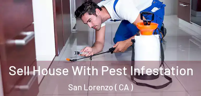 Sell House With Pest Infestation San Lorenzo ( CA )