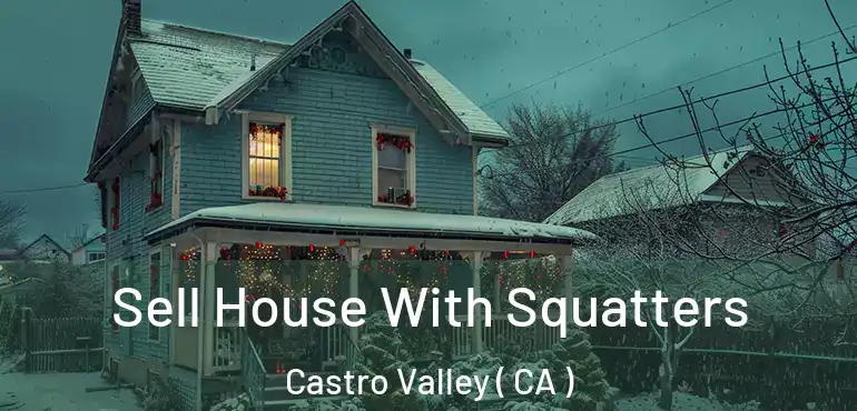  Sell House With Squatters Castro Valley ( CA )